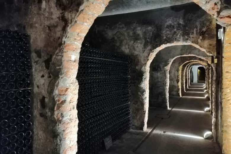 Excursión a la región de Bairrada