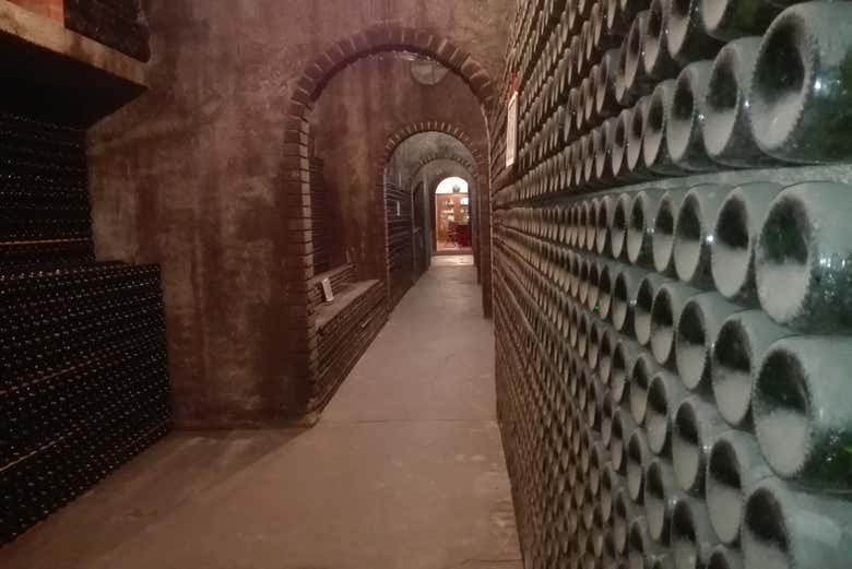 Excursión a la región de Bairrada