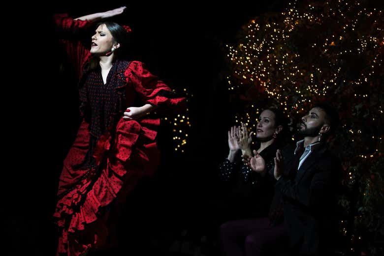 Espectáculo flamenco en Torres Bermejas - Galería 2