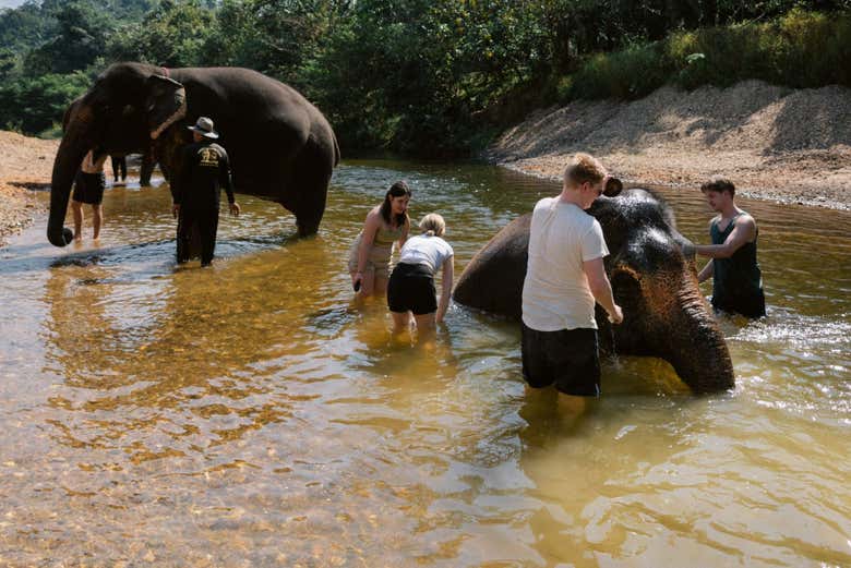 Safari por el Parque Nacional de Khao Sok