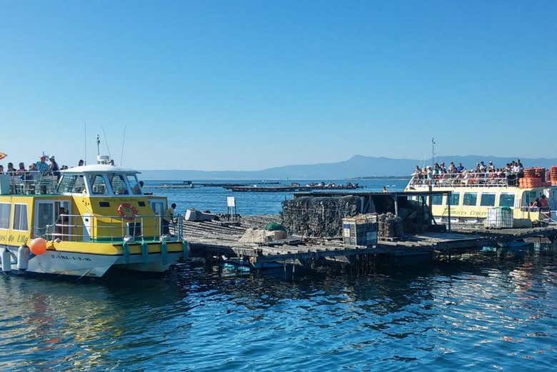 Paseo en barco por la ría + Degustación de mejillones