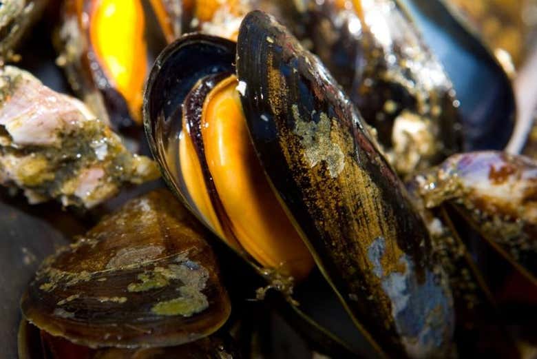 Paseo en barco por la ría + Degustación de mejillones