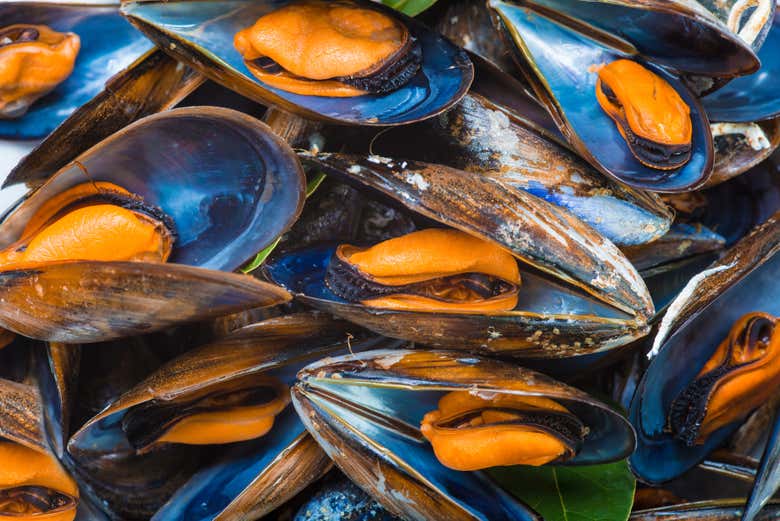 Paseo en barco por la ría + Degustación de mejillones - Galería 1
