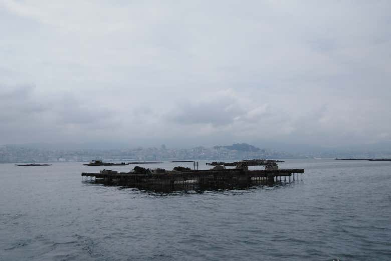 Paseo en barco por la ría + Degustación de mejillones - Galería 2