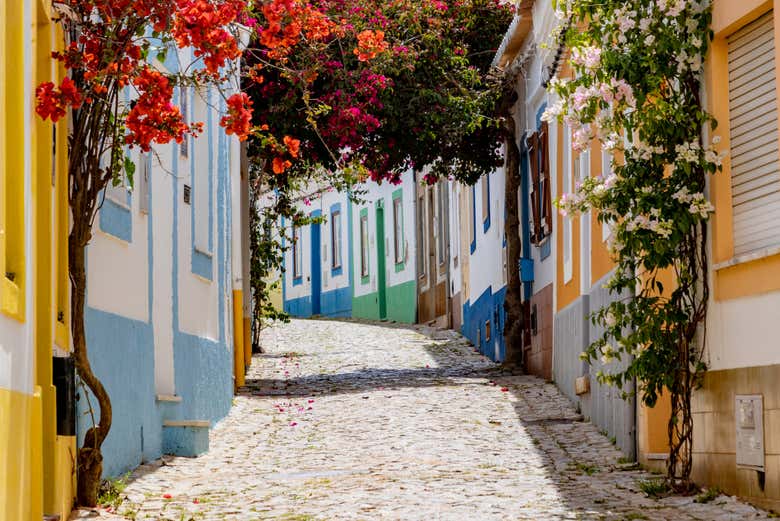 Excursión a Benagil y Ferragudo + Cata de vinos