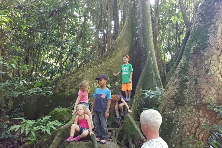 Senderismo por la selva de San Cristóbal - Galería 2