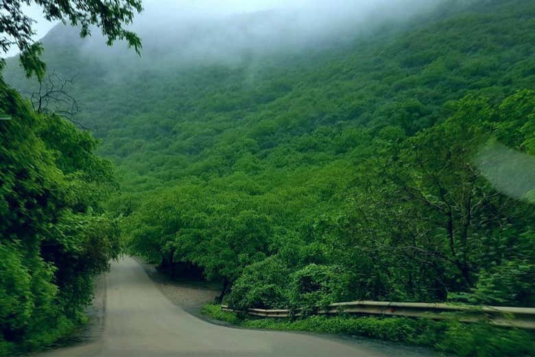 Excursión privada a Mirbat