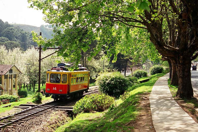 Excursión privada desde Sao Paulo - Galería 1