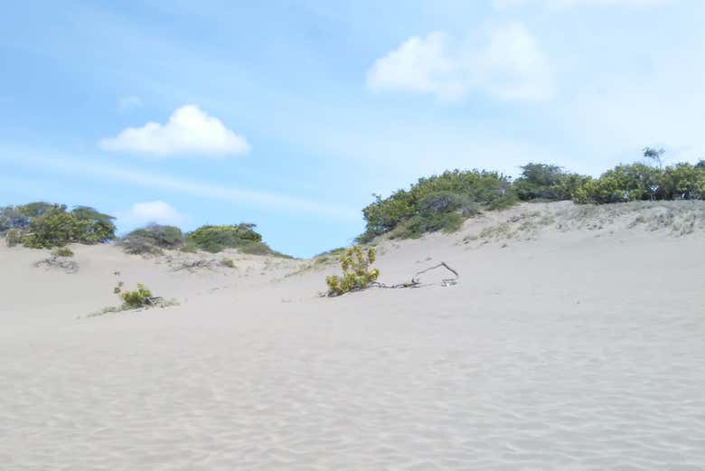 Tour por Baní