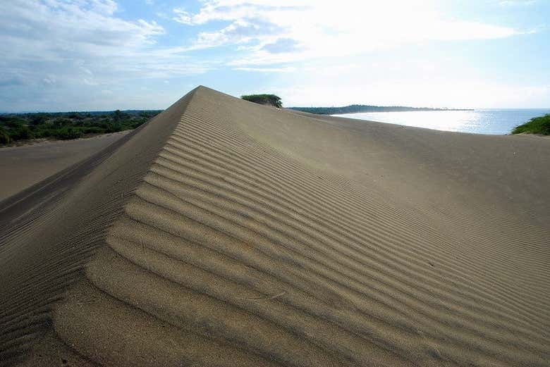 Tour por Baní - Galería 1