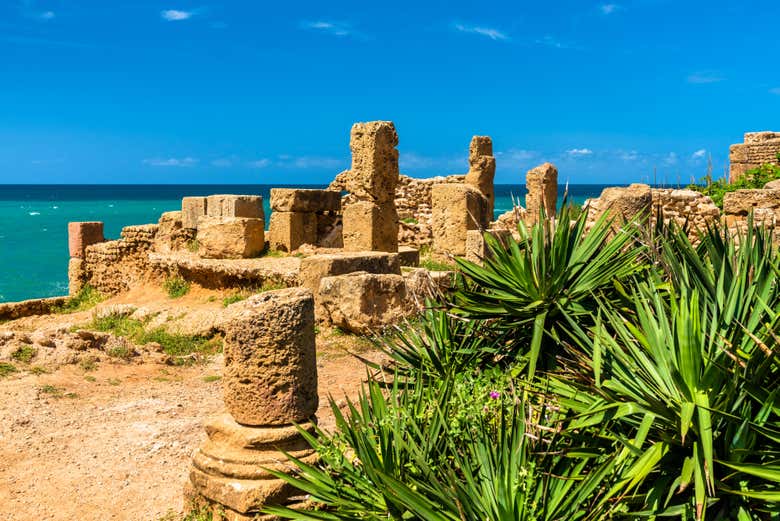 Excursión a Cherchell y Tipasa