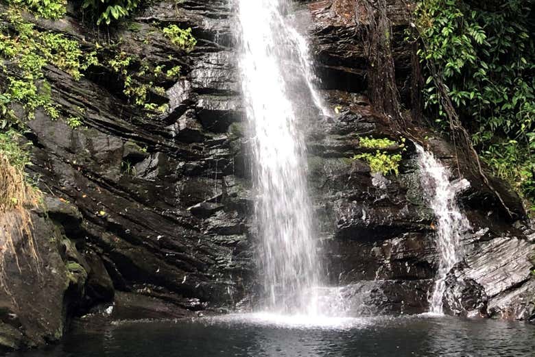 Excursión a las cascadas Mayan King