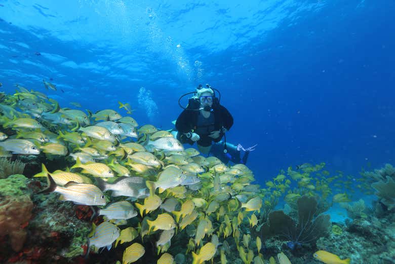 Bautismo de buceo en Cancún