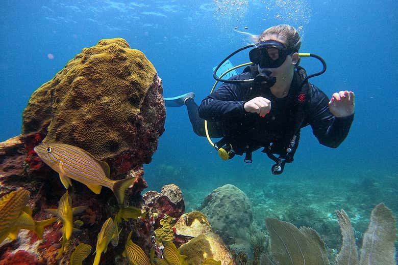 Bautismo de buceo en Cancún