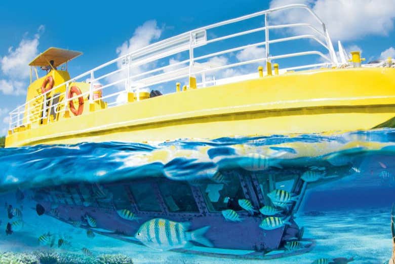 Paseo en barco con fondo de cristal