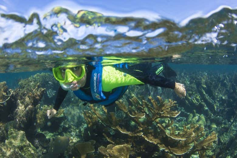 Snorkel en el MUSA