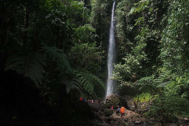 Excursión a la Reserva Hola Vida