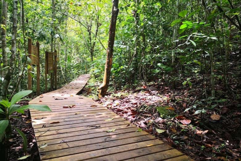 Excursión a La Virginia y El Guásimo