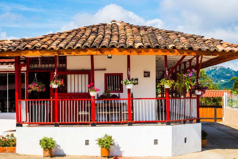 Tour de las orquídeas