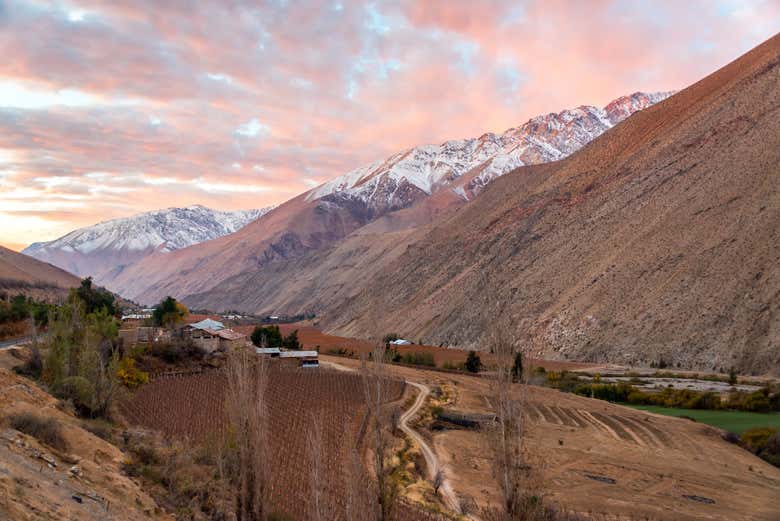 Tour privado por el valle del Elqui