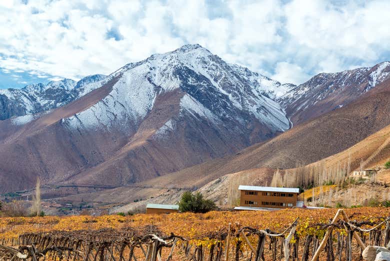 Tour privado por el valle del Elqui