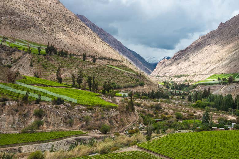 Tour privado por el valle del Elqui