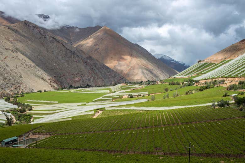 Tour privado por el valle del Elqui