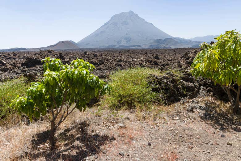 Tour por la isla Fogo
