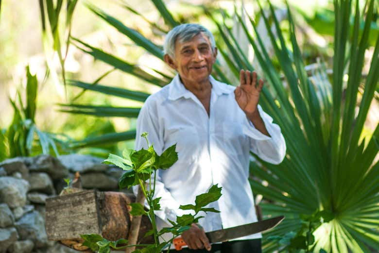 Excursión a Cobá