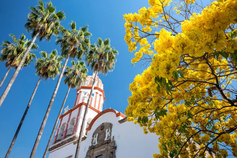 Tour por Tlaquepaque