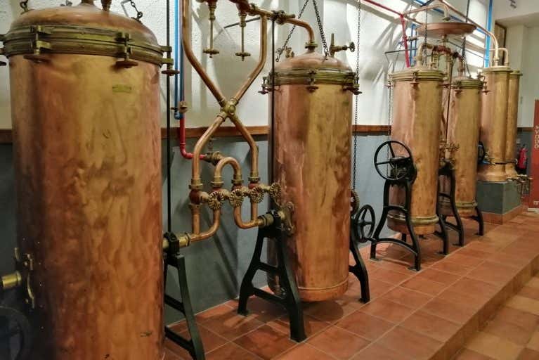 Tour del vino por la región del Dão