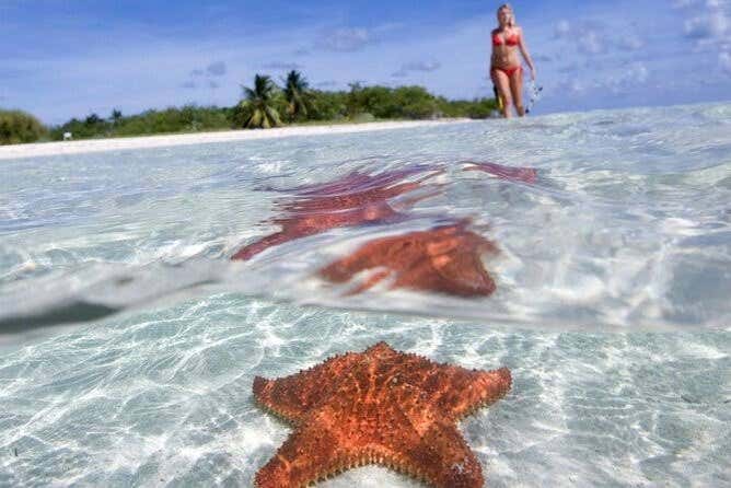 Excursión a Cozumel