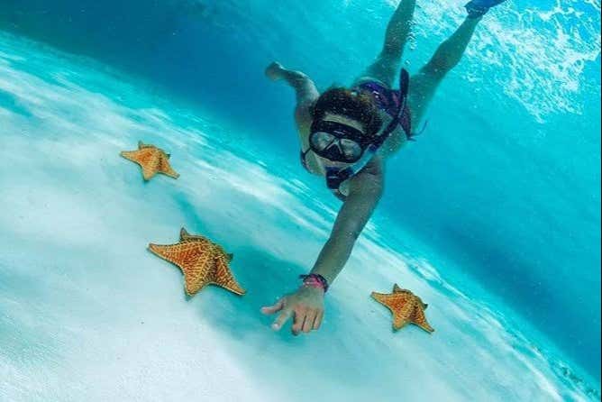 Excursión a Cozumel
