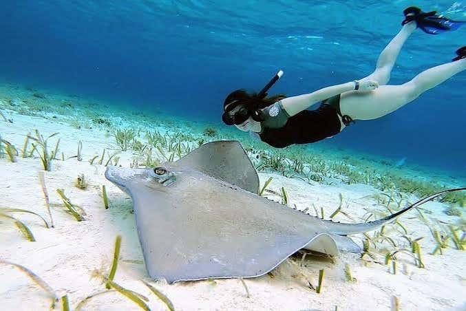 Excursión a Cozumel