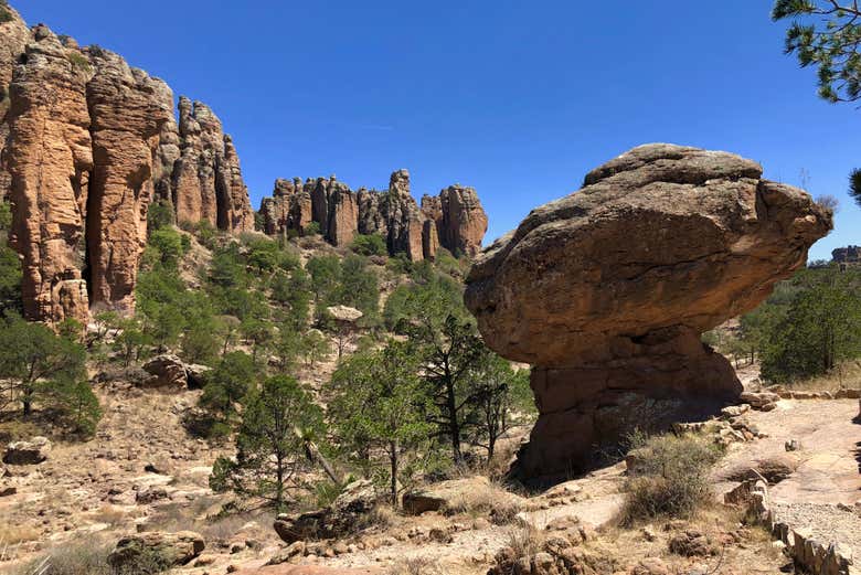 Excursión a la Sierra de Órganos y Nombre de Dios