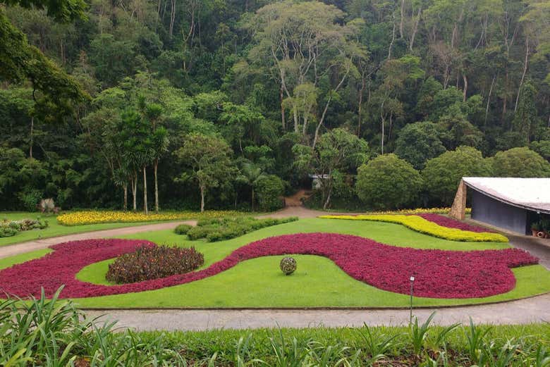 Excursión al Sitio Burle Marx