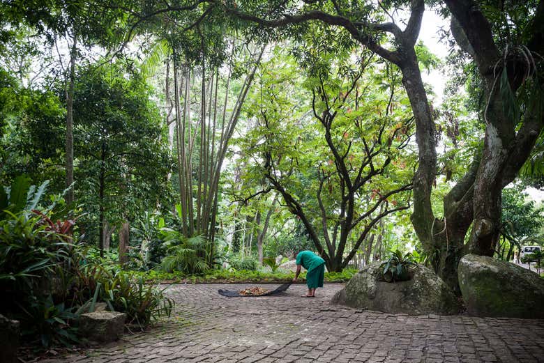 Excursión al Sitio Burle Marx