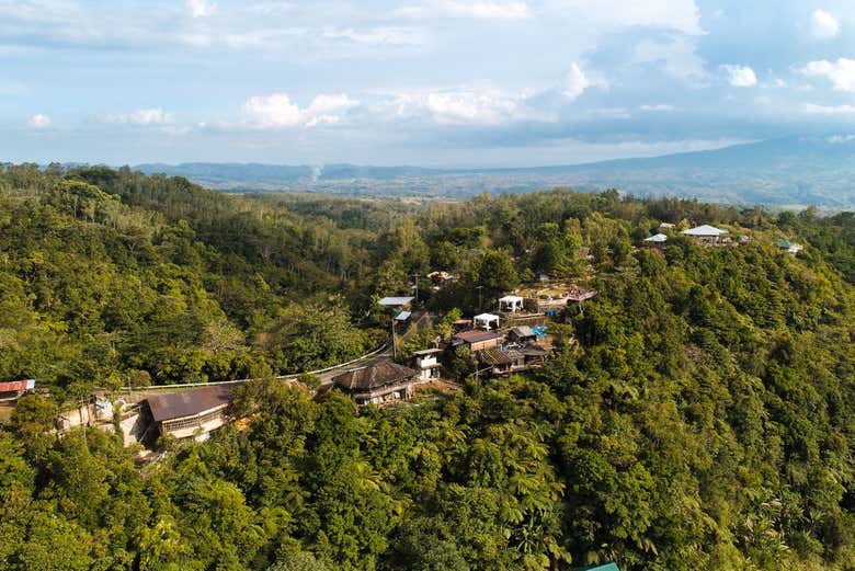 Excursión privada a Salvador Benedicto