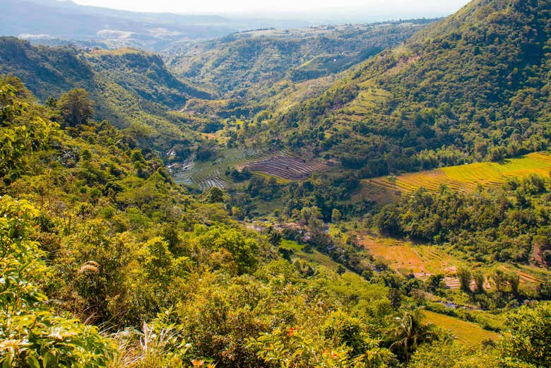 Excursión privada a Salvador Benedicto