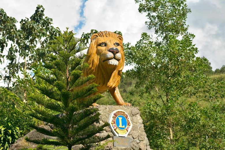 Excursión privada a Salvador Benedicto