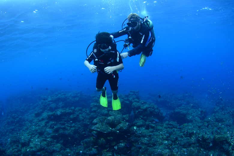 Bautismo de buceo en el Parque Nacional Marino Fernando de Noronha