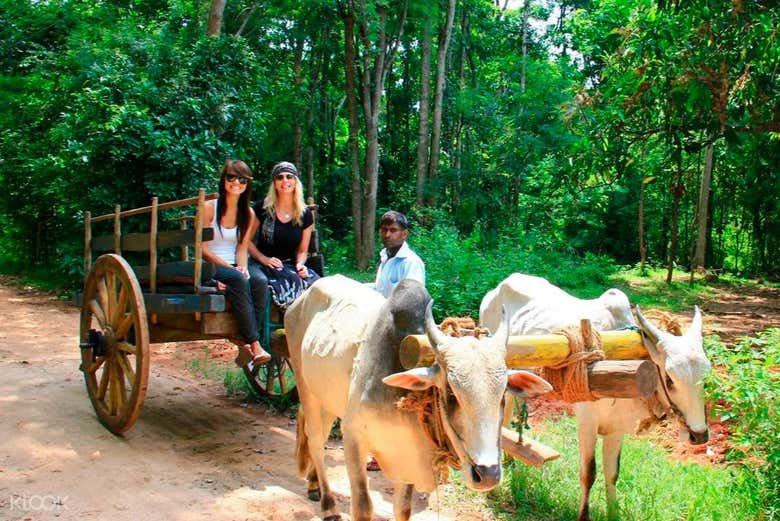 Excursión a Habarana
