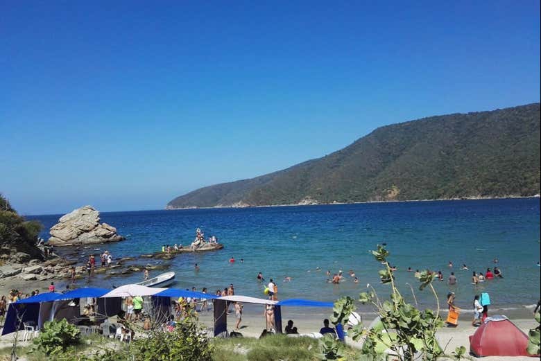 Excursión a Bahía Concha - Galería 2