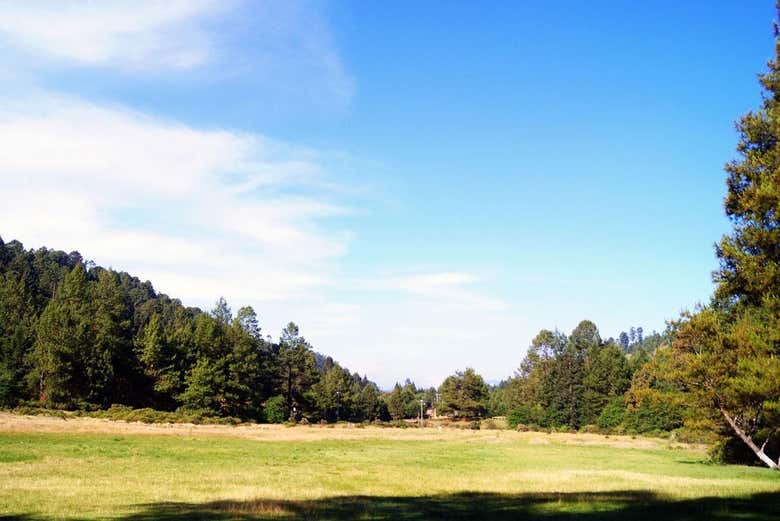 Balneario Rancho Viejo Los Azufres y grutas de Tziranda