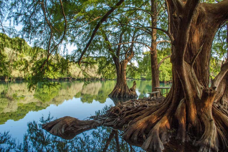 Excursión al santuario Guadalupano y lago de Camécuaro
