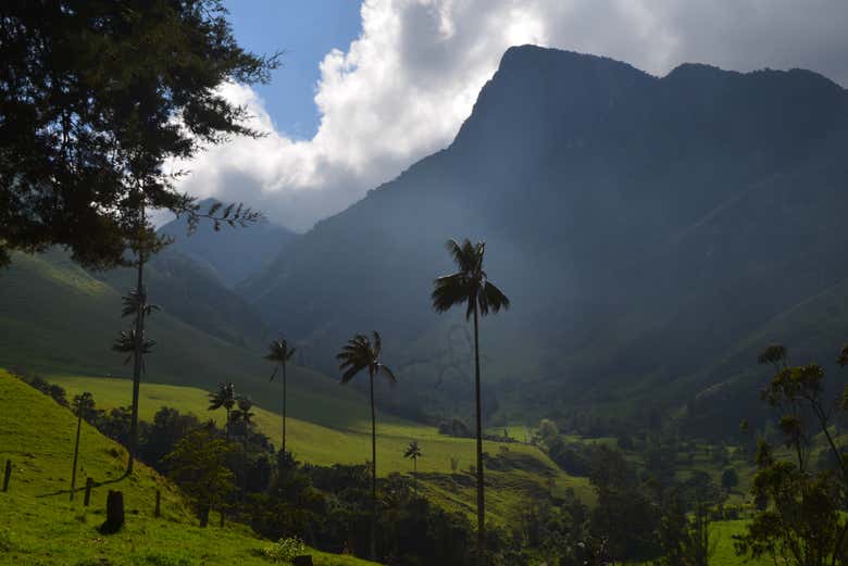 Excursión a la Reserva Cerro Morrogacho