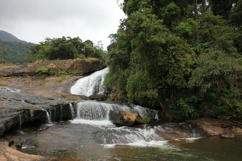 Tour privado en 4x4 por las cascadas de Munnar