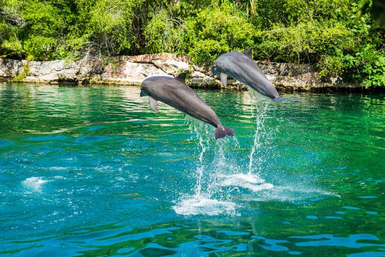 Excursión a Xel-Há