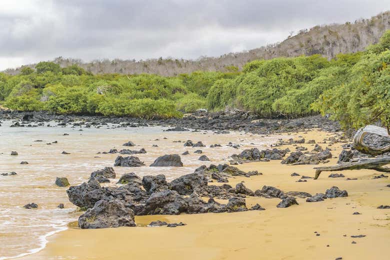 Excursión a la playa El Garrapatero - Galería 2