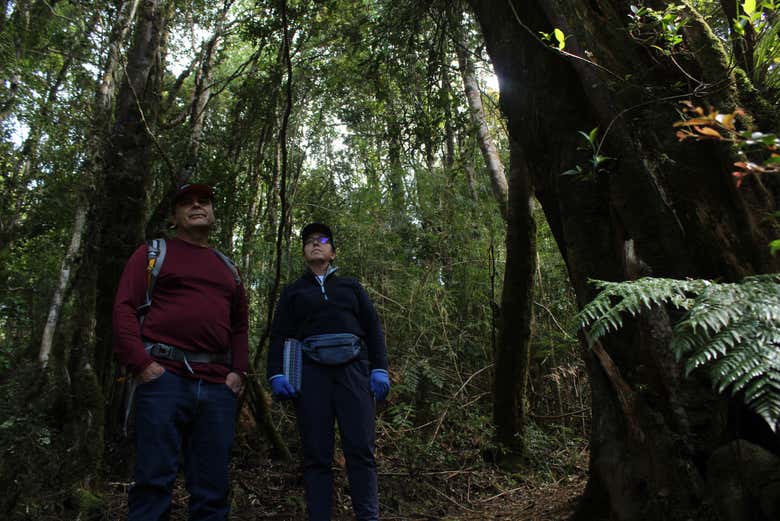Senderismo por el Parque Oncol